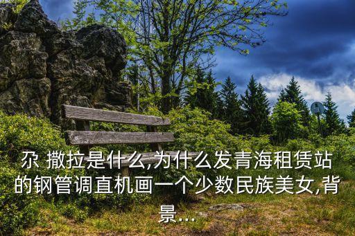 尕 撒拉是什么,为什么发青海租赁站的钢管调直机画一个少数民族美女,背景...