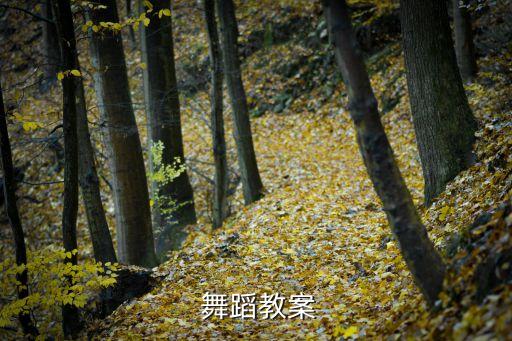  舞蹈教案