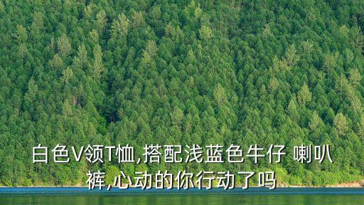 喇叭裤舞蹈分解教程,鸟叔喇叭裤舞蹈视频