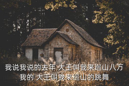 我说我说的去年 大王叫我来巡山八万我的 大王叫我来巡山的跳舞