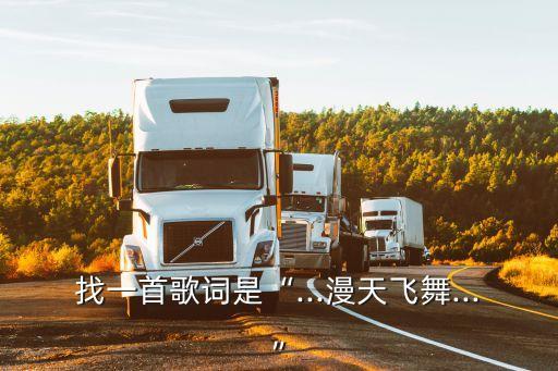 找一首歌词是“...漫天飞舞...”