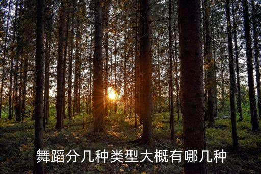 舞蹈的两种体裁是什么,舞蹈最基本的两种状态是什么