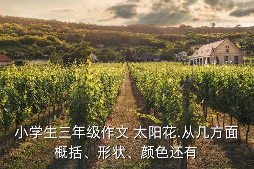 一片太阳花舞蹈