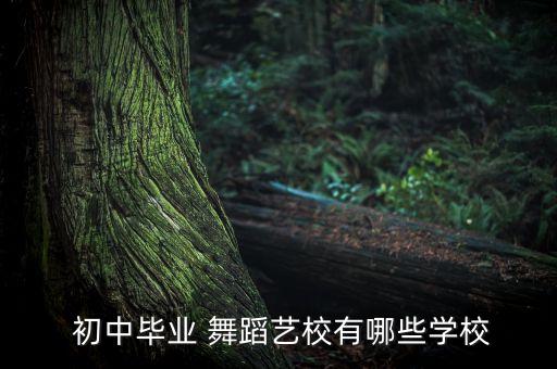 微微舞蹈初中,微微手语舞蹈视频