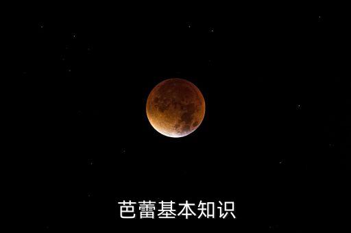  芭蕾基本知识