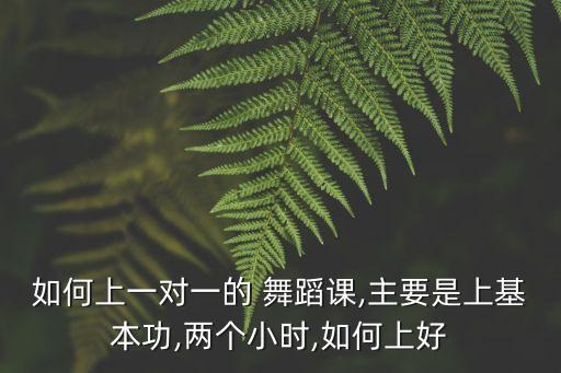 如何上一对一的 舞蹈课,主要是上基本功,两个小时,如何上好