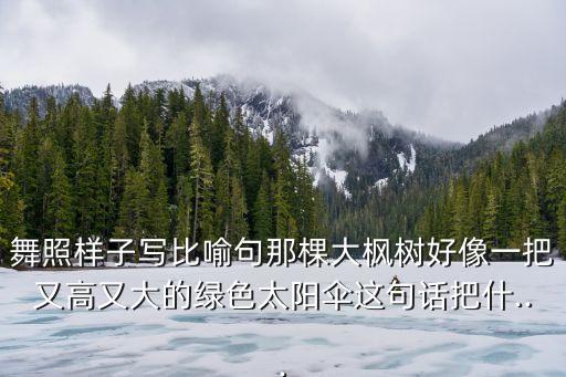 舞照样子写比喻句那棵大枫树好像一把又高又大的绿色太阳伞这句话把什...