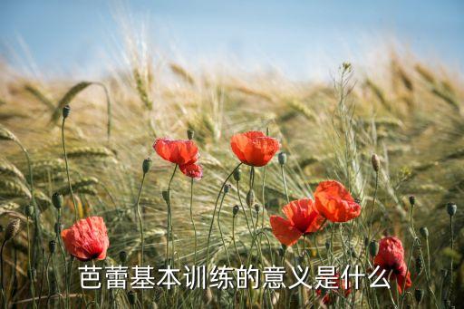 芭蕾舞蹈基训课