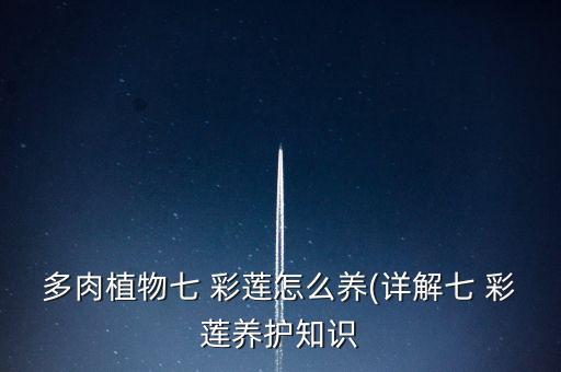 彩莲舞蹈舞视频,宝鸡舞彩年华舞蹈