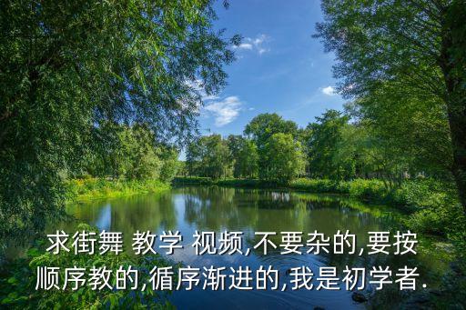 求街舞 教学 视频,不要杂的,要按顺序教的,循序渐进的,我是初学者.