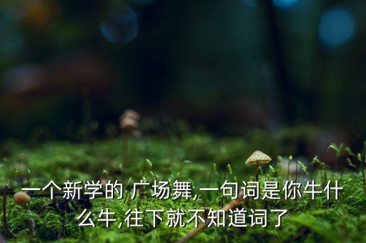 广场舞舞蹈牛什么牛