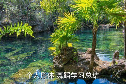 个人形体 舞蹈学习总结