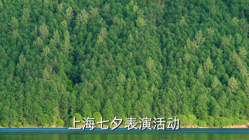 金星舞蹈团演出专业实践,2023金星舞蹈团演出时间