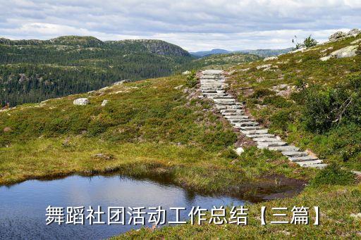  舞蹈社团活动工作总结【三篇】