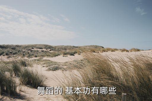  舞蹈的 基本功有哪些