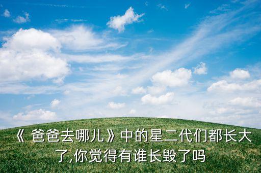 《 爸爸去哪儿》中的星二代们都长大了,你觉得有谁长毁了吗