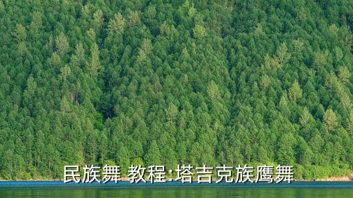  民族舞 教程:塔吉克族鹰舞