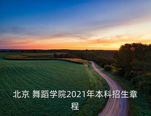 2020BDA舞蹈高峰论