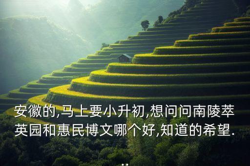 安徽的,马上要小升初,想问问南陵萃英园和惠民博文哪个好,知道的希望...