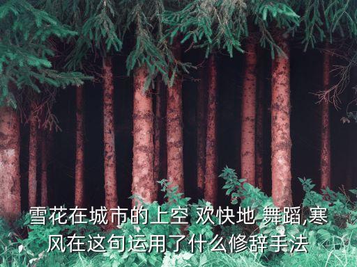 雪花在城市的上空 欢快地 舞蹈,寒风在这句运用了什么修辞手法