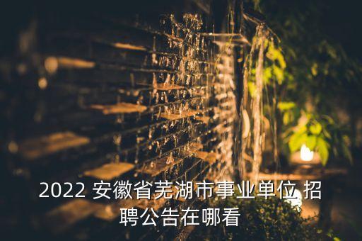 安徽电视台舞蹈招聘,2023年安徽电视台招聘