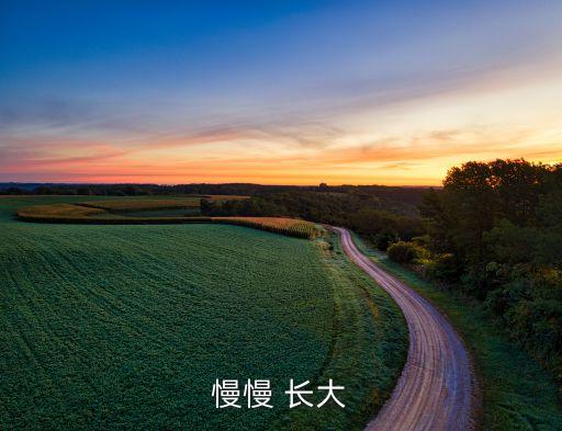 慢慢 长大
