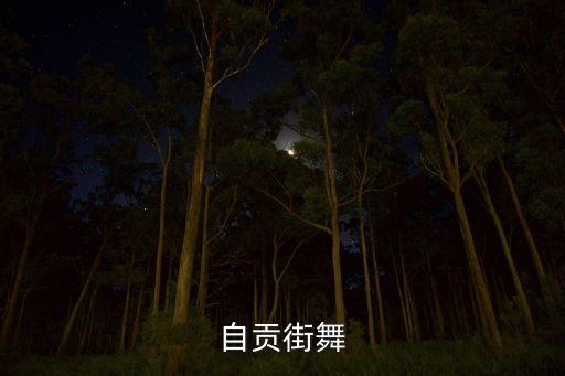 自贡街舞