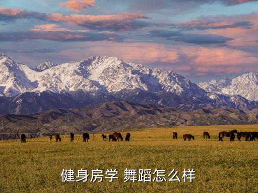 健身房学 舞蹈怎么样