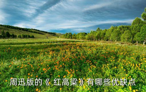 红高粱男舞蹈独舞,8一9岁男儿童舞蹈独舞