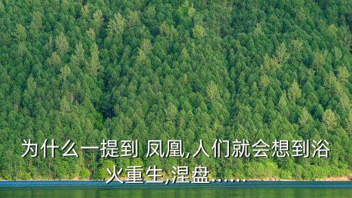为什么一提到 凤凰,人们就会想到浴火重生,涅盘……