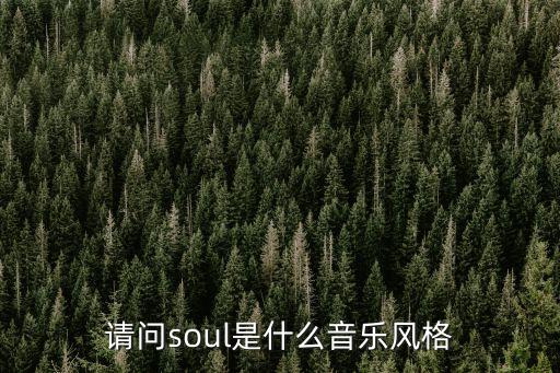 请问soul是什么音乐风格