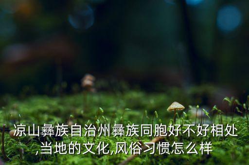  凉山彝族自治州彝族同胞好不好相处,当地的文化,风俗习惯怎么样