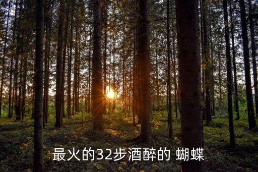蝴蝶广场舞舞蹈视频,酒醉的蝴蝶 广场舞 教学视频
