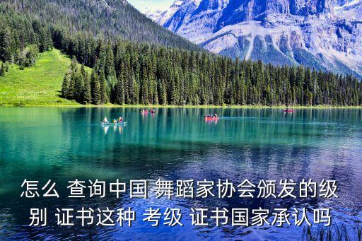 江苏省的舞蹈考级证书查询,中国歌舞剧院舞蹈考级证书查询