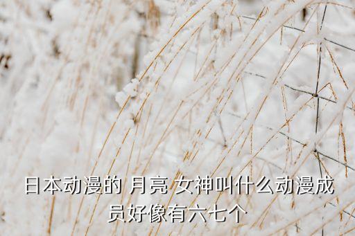 日本动漫的 月亮 女神叫什么动漫成员好像有六七个