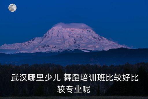  武汉哪里少儿 舞蹈培训班比较好比较专业呢