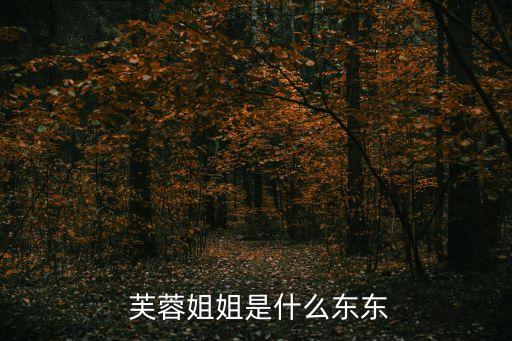  芙蓉姐姐是什么东东