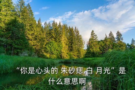“你是心头的 朱砂痣,白 月光”是什么意思啊