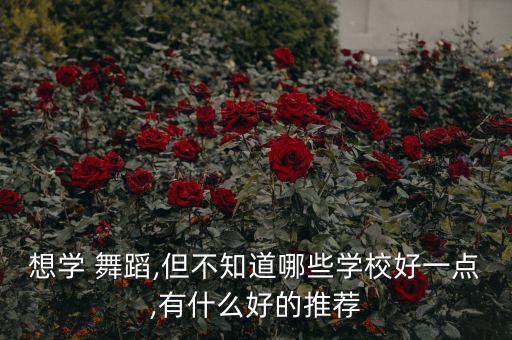 想学 舞蹈,但不知道哪些学校好一点,有什么好的推荐
