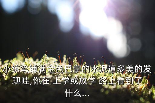 小练笔铺满金色巴掌的水泥道多美的发现哇,你在 上学或放学 路上看到了什么...