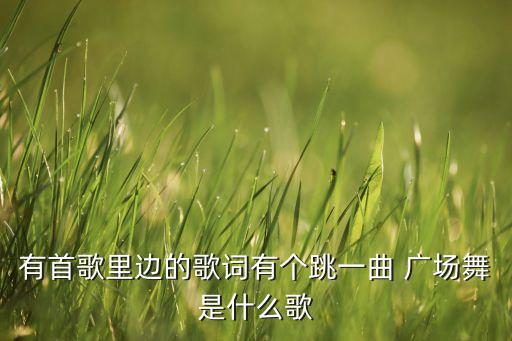 有首歌里边的歌词有个跳一曲 广场舞是什么歌