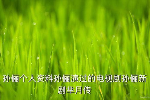 孙俪个人资料孙俪演过的电视剧孙俪新剧芈月传