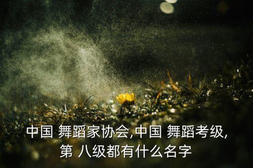 中国 舞蹈家协会,中国 舞蹈考级,第 八级都有什么名字