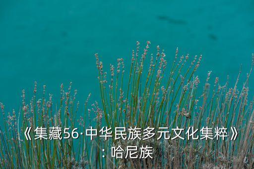 哈尼哈尼舞蹈视频,哈尼舞蹈视频