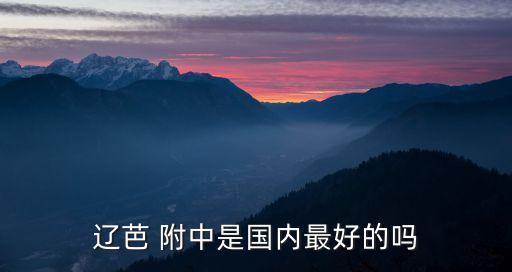 辽芭 附中是国内最好的吗