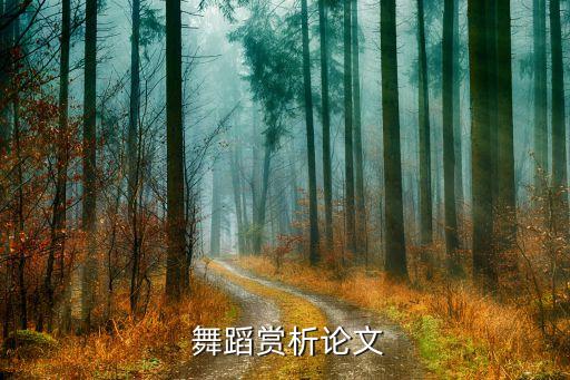 舞蹈艺术鉴赏的本质,舞蹈天鹅湖艺术鉴赏800字