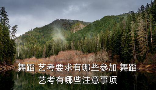  舞蹈 艺考要求有哪些参加 舞蹈 艺考有哪些注意事项