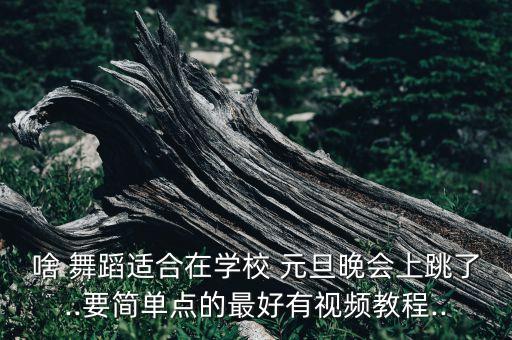啥 舞蹈适合在学校 元旦晚会上跳了..要简单点的最好有视频教程..