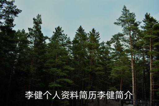 李健个人资料简历李健简介