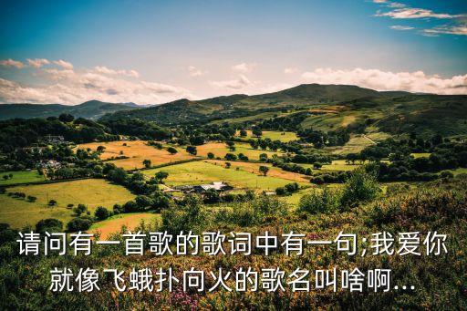 请问有一首歌的歌词中有一句;我爱你就像飞蛾扑向火的歌名叫啥啊...